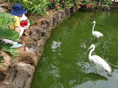 -海南热带野生动植物园