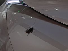 -砂之船奥莱(南京江宁店)