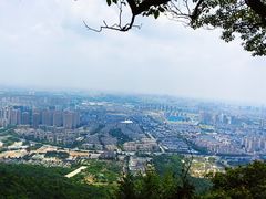 -惠山国家森林公园