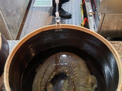 -印象鲵宴·张家界地标美食名片(溪布街店)