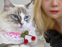 -怪兽屋·羊驼·猫咖·狗咖(俊华广场店)