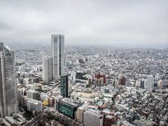 -东京都厅舍