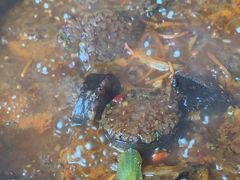 -百年石锅饭·朝鲜族传统民餐