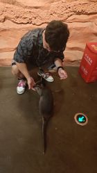 -Zoolung Zoolung动物主题公园(海信广场店)