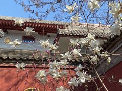 -西安市广仁寺