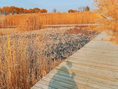 -野鸭湖国家湿地公园