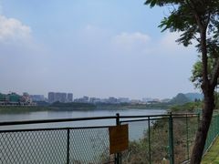 -立新湖公园