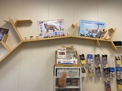 -美联众合爱康动物医院•复杂内科•肿瘤科•牙科•腔镜诊疗中心