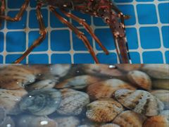 -三亚火车头万人海鲜广场