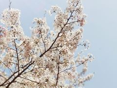 -白塘生态植物园