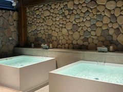 -漢頓温泉度假酒店