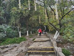 -云龙山