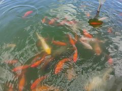 -抚顺煤矿博物馆