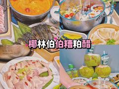 -亚龙湾热带天堂森林公园