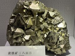 -湖南省地质博物馆