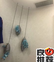 -健身堂科技美肌SPA