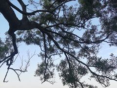 -海口火山口国家地质公园