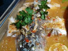招牌柠檬鱼-佬肥猫(周浦万达店)