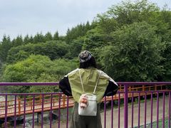 -帽儿山风景区