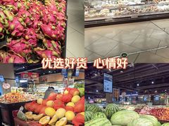 -星光城