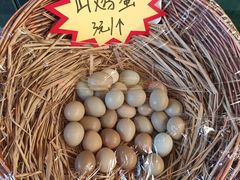 -食家鸽园