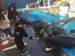 -泉城欧乐堡海洋极地世界