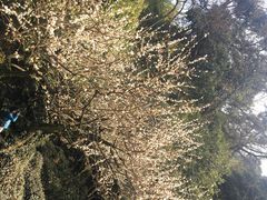 -杭州黄龙洞