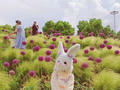 -嘉北郊野公园