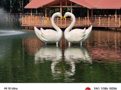 -深圳野生动物园