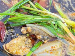 -石灰市毛记烧鸡公(解放碑店)