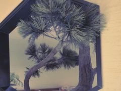 -桂满陇·锦绣江南(益田广场店)