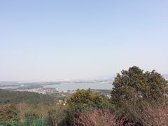 -香雪海