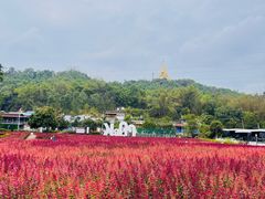 -孔雀湖生态旅游区