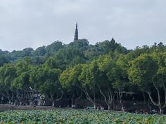 -知味观(湖滨店)