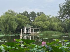 -北陵公园
