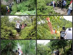 -青芝山风景名胜区