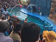 -坝光海滩
