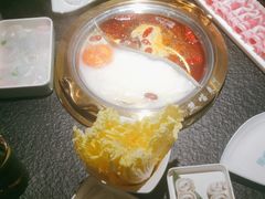 -熊喵来了火锅·牧场好肉(邯郸邯山万达店)