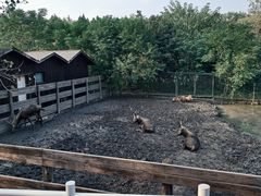 -溱湖国家湿地公园