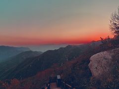 -大岭沟猕猴桃谷风景区