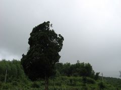 -井空里大峡谷