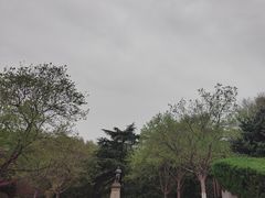 -伯先公园