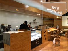 -柴务处·柴犬主题狗咖