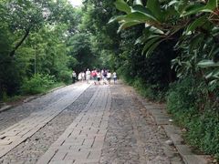 -紫金山山顶公园