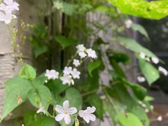 -鹿野苑石刻艺术博物馆