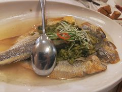-老人和饭店(打浦路店)