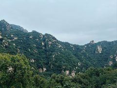 -大岭沟猕猴桃谷风景区