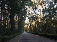 -顺鑫绿色度假村