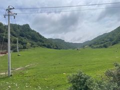 -关山草原
