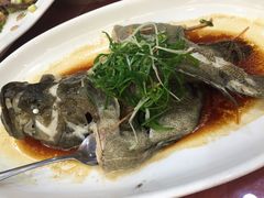 -海晖酒楼·顺德鱼生(荣华店)